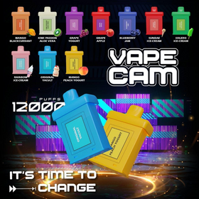 VAPECAM REFILL by VaultVape - 20 Flavor's Choice (12000Puffs)