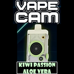 VAPECAM KIT by VaultVape - 20 Flavor's Choice (12000Puffs) TYPE-C RECHARGEABLE
