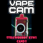 VAPECAM KIT by VaultVape - 20 Flavor's Choice (12000Puffs) TYPE-C RECHARGEABLE